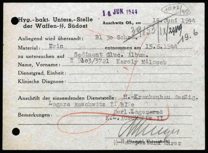 dokument-fra-waffen-ss-hygiene-institutt